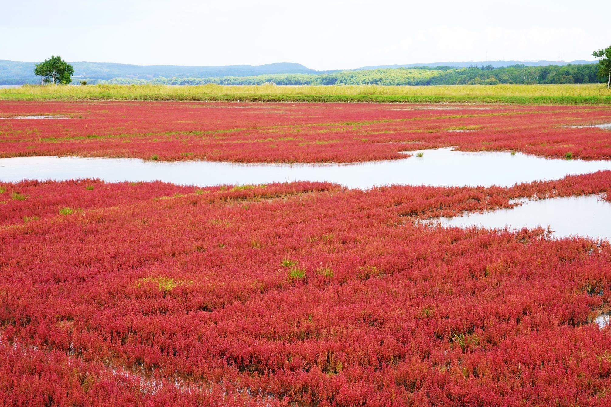 🌊 노토로 호수(노토로코) 이미지 1